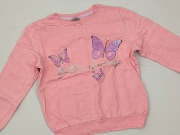 koszulka z labradorem: Sweatshirt, Little kids, 9 years, 128-134 cm, condition - Very good — 1