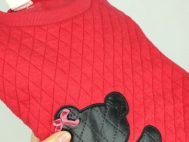 czapka zimowa arcteryx: Bluza, 10 lat, 134-140 cm, stan - Bardzo dobry — 5