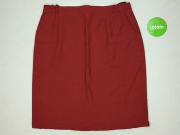 plisowane spódnice szara: Spódnica damska, rozmiar 3XL — 2