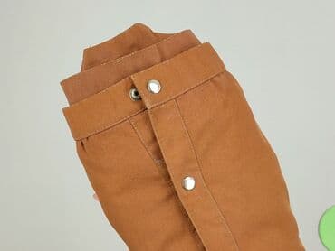 kurtka m: Kurtka przejściowa damska, 3XL — 5