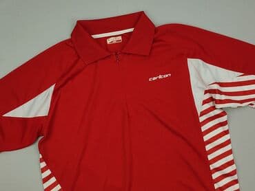 Polo shirt for men, L (EU 40), condition - Perfect