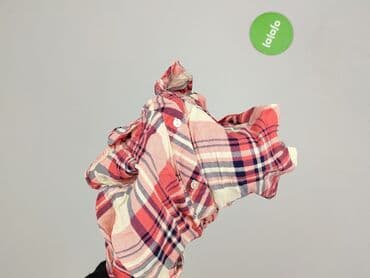 Сорочки та блузи: Colloseum, Сорочка жіноча, розмір XS — 5