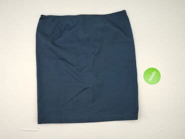 spódniczka gotycka: Women`s skirt, size 4XL (EU 48) — 2