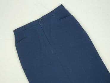 plisowane spódnice lidl: Spódnica damska, L — 1