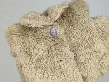 koszulka pantone: Płaszcz, Next, 3-6 miesięcy, stan - Idealny — 6