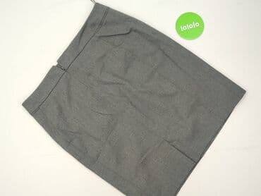 plisowane spódnice szara: Tailored, Spódnica damska, rozmiar 2XL — 3