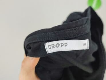 koszulka z kotem cropp: Cropp, Koszulka dla mężczyzn, M — 4