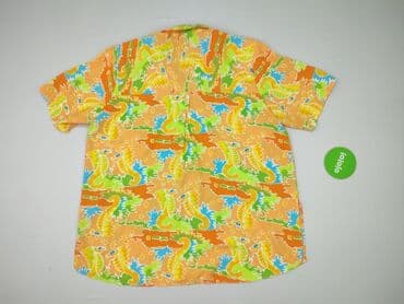 t shirty basic oversize: Koszula damska, rozmiar 5XL — 3
