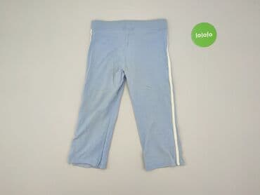 cedarwood state spodenki: Shorts, Alive, 10 years, 140, condition - Good — 3