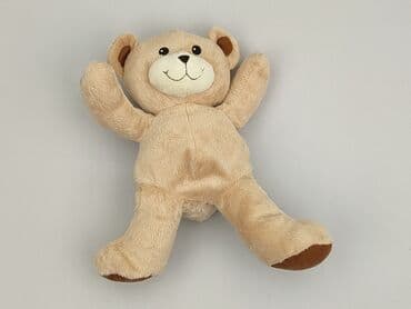 c: Mascot Teddy bear, condition - Perfect — 2