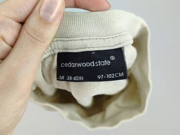 sochan t shirty: Cedar Wood State, T-shirt damski, rozmiar M — 4