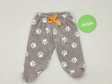 koszulka koty: Cobbler, 6-9 months, condition - Perfect — 2