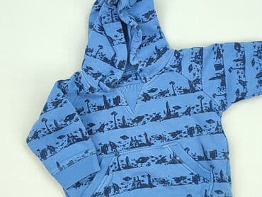 c and a bluza: Sweatshirt, 6-9 months, condition - Perfect — 1