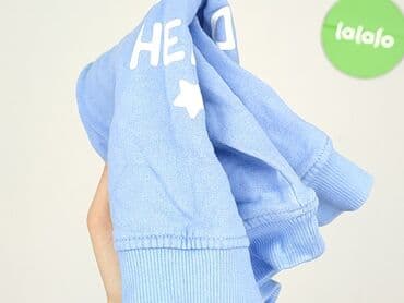 koszulka chaotic system: Sweatshirt, Fox&Bunny, 9-12 months, condition - Perfect — 6