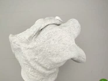 jeremy sochan koszulka: Hoodie for men, S (EU 36), C&A, condition - Perfect — 5