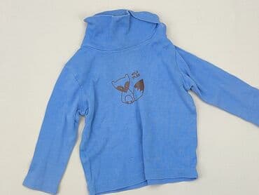 koszulki z napisem polska dla dzieci: Sweatshirt, 9-12 months, condition - Very good — 1