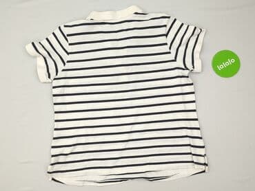 t shirty vw bulli: Esmara, Women`s polo shirt, 3XL at lalafo.pl — 3 t shirty vw bulli: Esmara, Women`s polo shirt, 3XL — 3