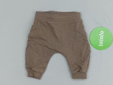 sukienka sweter h: Sweatpants, Fox&Bunny, condition - Perfect — 2