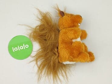 kapcie w ccc: Mascot condition - Perfect — 2