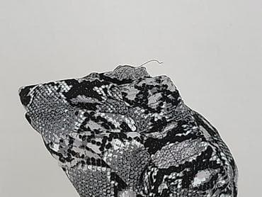 leggings: Szorty damskie, rozmiar XL — 6