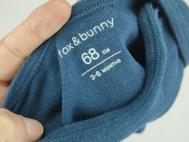 only play legginsy: Body, Fox&Bunny, 3-6 months, 
condition - Very good — 4