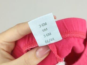 sukienki z weluru i aksamitu allegro: Leggings, Coccodrillo, 3-6 months, condition - Perfect — 5