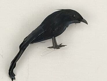sukienka w pióra: Figurkа, stan - Idealny — 1