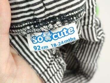 massimo dutti spodnie woskowane: Sweatpants, So cute, 1.5-2 years, 92, condition - Very good — 4