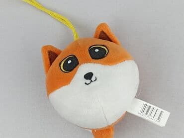 Mascot condition - Very good