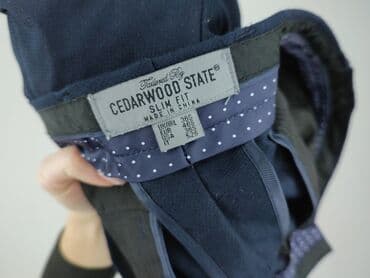 koszulka z numerem h m: Cedar Wood State, Spodnie dla mężczyzn, S — 5