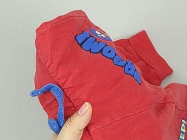 bielizna termoaktywna smartwool: Spodnie dresowe, Pepco, 9-12 miesięcy, stan - Dobry — 5