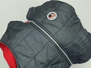 ubra koszule: Kamizelka, Disney, 4-5 lat, 104-110 cm, stan - Bardzo dobry — 7