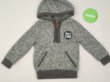podkoszulki allegro: Sweatshirt, Little kids, 3-4 years, 98-104 cm, condition - Very good — 2