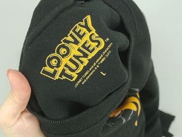 klapki z wlasnym napisem: Looney Tunes, Bluza dla mężczyzn, L — 6