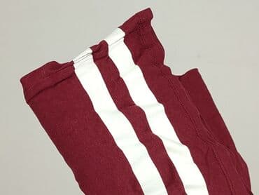 t shirty tommy hilfiger basic: Terranova, T-shirt damski, rozmiar M — 6