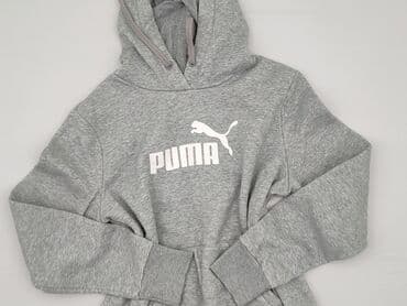 polo bear sweter: Puma, Bluza z kapturem damska, rozmiar XL — 1