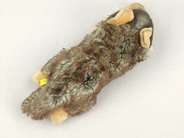 koszulka z wilkiem dla dzieci: Mascot Dog, condition - Perfect — 2