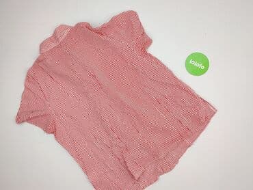 bluza tommy: Jeanswear, Koszula damska, rozmiar 7XL — 7