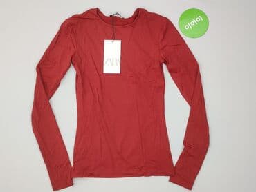 sweter z odkrytymi ramionami zara: Zara, Жіноча блуза, S на lalafo.pl — 2 sweter z odkrytymi ramionami zara: Zara, Жіноча блуза, S — 2