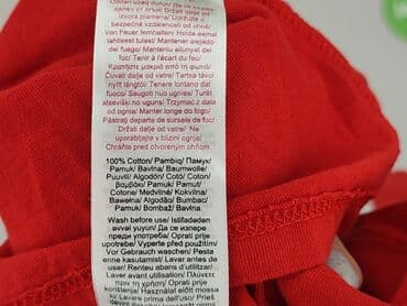 koszulki 3d allegro: Blouse, Little kids, 9 years, 128-134 cm, condition - Very good — 5