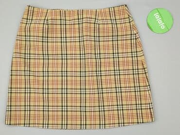 lidl spodnice: Hennes Collection, Spódnica damska, rozmiar L — 3