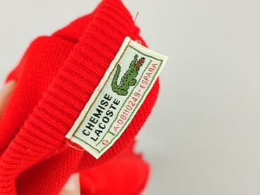 everlast kurtka zimowa: Lacoste, Sweter dla mężczyzn, XL — 4