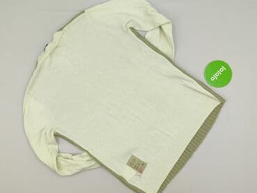 ubrania z jamnikiem: Diesel, Sweter dla mężczyzn, rozmiar L — 3