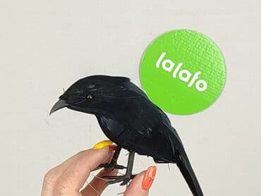 Home Decor: Figurine, condition - Perfect — 4