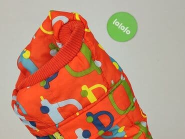 decathlon kamizelki do pływania dla dzieci: Kamizelka, Tu, 3-6 miesięcy, stan - Bardzo dobry — 5