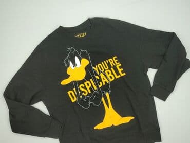 klapki z wlasnym napisem: Looney Tunes, Bluza dla mężczyzn, L — 1