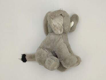 triumf sklep z bielizną: Mascot Elephant, condition - Perfect — 2
