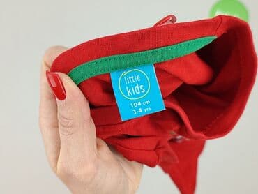 koszula ricky: Bluzka, Little kids, 3-4 lat, 98-104 cm, stan - Idealny — 4