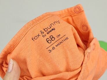 niebieska sukienka h: Body, Fox&Bunny, 3-6 months, 
condition - Perfect — 4