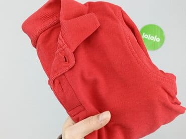 koszulki z napisem polska dla dzieci: Sweatshirt, 9-12 months, condition - Good — 4
